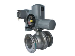 Valves and Fittings